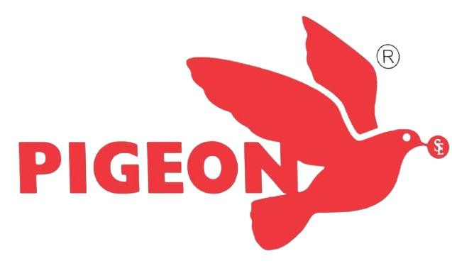 Pigeon